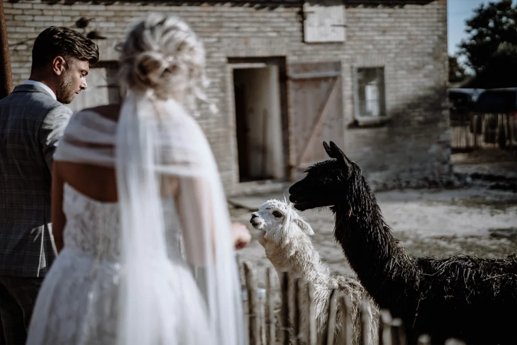 FarmInn Eventlocation Alpaka